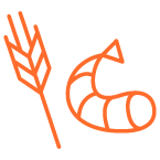 Icon crevette et blé pour les allergène et les intolérances analysés dans le test ADN nutrition